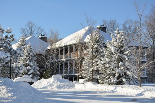 4 Season Fun At Legend Cottage Inn Bellaire Exterior foto